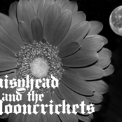 Instrumental by Daisyhead & The Mooncrickets