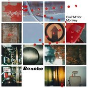 Wayward Bob by Bonobo