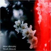 Macabruary