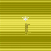 Cocoon Compilation L