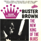 I Got The Blues When It Rains by Buster Brown