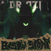 Bison Stomp - Single
