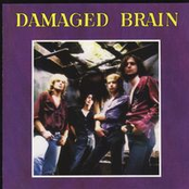 Damaged Brain