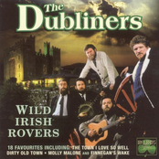 Wild Irish Rovers