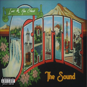 The Sound