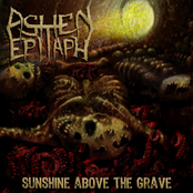 Sunshine Above The Grave