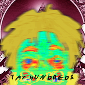 tay hundreds