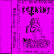 Grollfried/Corneus