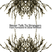 Fast Forward In Slow Motion