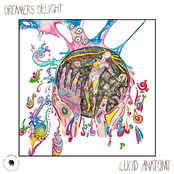 Dreamers Delight: Lucid Anatomy