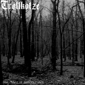 Das Mikro ist runtergefallen (Demo)