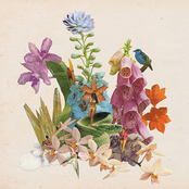 Monster Rally: Mystery Cove