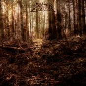 К Теням, Которых Нет...