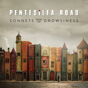 Sonnets From the Drowsiness