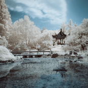 幽霊の庭園 (Garden of Ghosts)