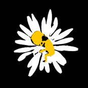 mother, i'm not here