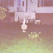 ACAB Rocky / Molly Drag Split