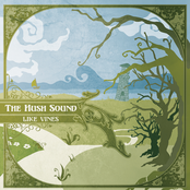 You Are The Moon by The Hush Sound