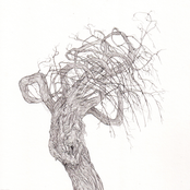 Hollering & Handstands