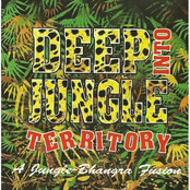 Deep Into Jungle Territory: A Jungle-Bhangra Fusion