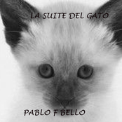 la suite del gato