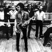 bruce springsteen & the e street band