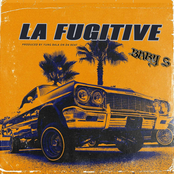 LA Fugitive