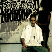 Zoominati: The Counter Movement Bootleg