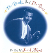 The Best of Jewel Akens