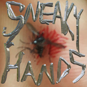 Sneaky Hands