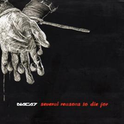 Several Reasons To Die For