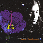 A Series of Small Victories