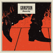 Passerby by Grinspoon