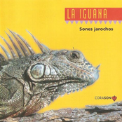 La Iguana: Sones Jarochos