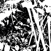 Born to be born again