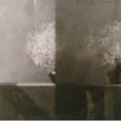 Distorted aki no sampomichi