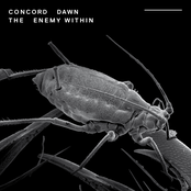 Concord Dawn - This Is All There Is
