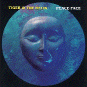 Moonfire by Tiger & The Helix