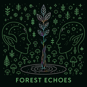 V/A Forest Echoes