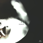 The Cycle of Reincarnation