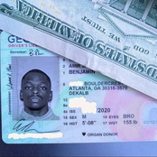 From Zone 6 With Love