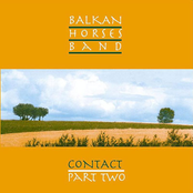 Bridges by Balkan Horses Band
