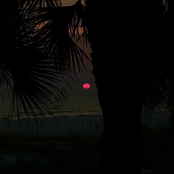 sometimes i disappear