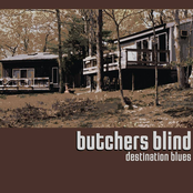 Tear It Down by Butchers Blind