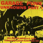 Garage Punk Unknowns Vol 1
