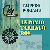 El Toro by Antonio Tarragó Ros