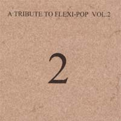 A Tribute to Flexi-Pop, Volume 2