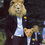 The Dandy Lions