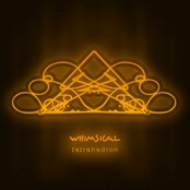 Tetrahedron - Whimsical (aIDMEP008) 2007