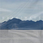 Exanimate: Luminous